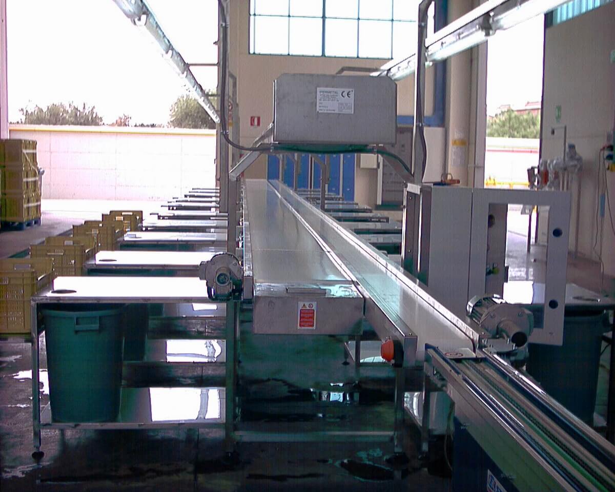 Macchinario agroalimentare in acciaio inox realizzato su misura.