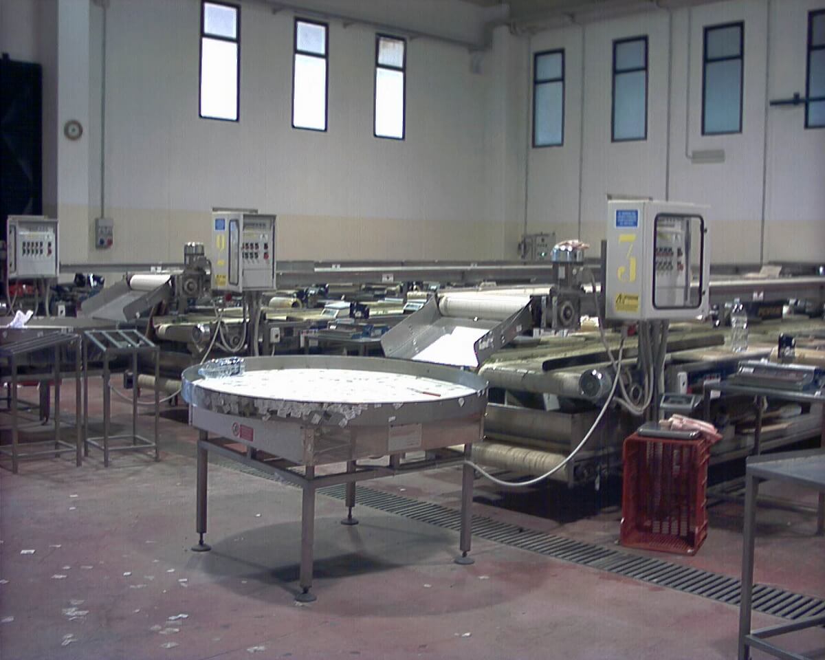 Macchinario agroalimentare in acciaio inox realizzato su misura.